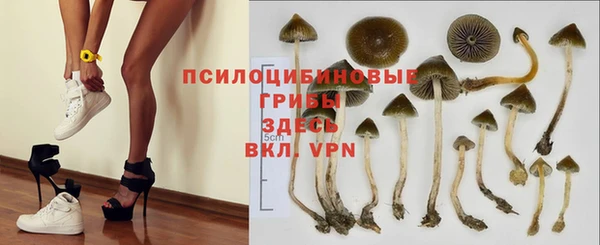 бутират Алексеевка