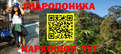 прущие грибы Славянск-на-Кубани