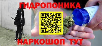 прущие грибы Славянск-на-Кубани