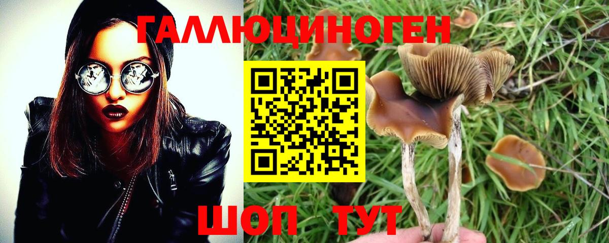 Псилоцибиновые грибы мицелий  Вход с VPN  Псилоцибиновые грибы мухоморы  Новошахтинск 