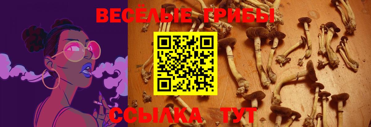 Псилоцибиновые грибы мухоморы Новошахтинск